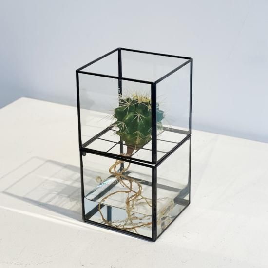 10¹² terra hydro 水耕栽培 ケース 10¹² TERRA / Hydro 80 Series + Plants (金鯱) - NICK WHITE