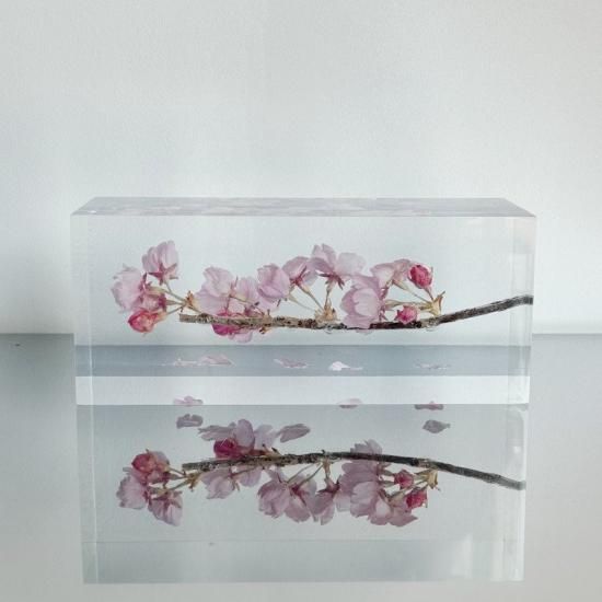 ✨ガラス聖3Dボタニカルアート✨Homage to Nature　⭐️ ☆匿名おお Takao Miura (@noahsartgallery) • Instagram photos and videos