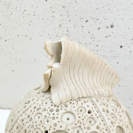 羊白物 香合(琢也作) 羊白物 香合(琢也作)