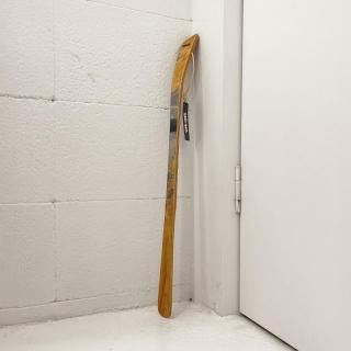ShoehornSkateboard SP