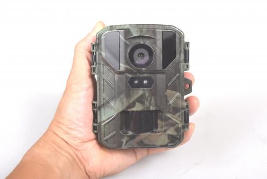 【サイトロンジャパン】赤外線無人撮影4Kカメラ「STR-MiNi800」 赤外線無人撮影4KカメラSTR-MiNi800｜株式会社サイトロン