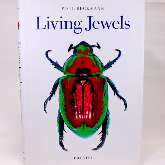 Living Jewels  The Natural Design of Beetles