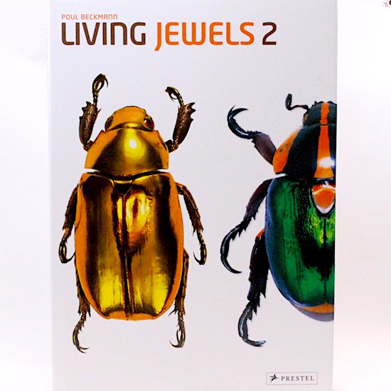 Living Jewels 2: The Magical Design of Beetles 