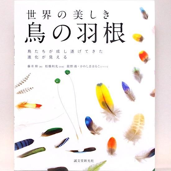 世界の美しき鳥の羽根 鳥たちが成し遂げてきた進化が見える 藤井幹 舘野鴻 かわしまはるこ イラスト 松橋利光 写真 Hanamuguri 世界の美しき鳥の羽根 鳥たちが成し遂げてきた進化が見える 藤井幹 舘野鴻 かわしまはるこ イラスト 松橋利光 写真 Hanamuguri