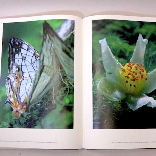 大人気新品 世界遺産 L 屋久島―三好和義写真集― 豪華愛蔵版 - htii.edu.kz