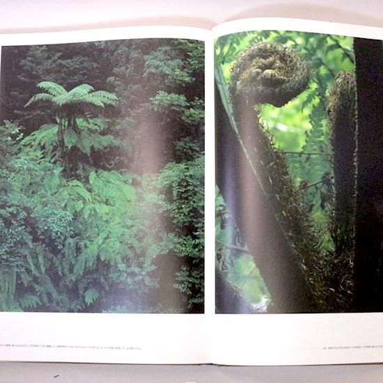 世界遺産 屋久島―三好和義写真集― 豪華愛蔵版-
