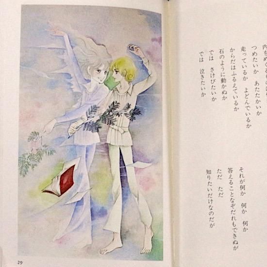 【希少】　詩集孤蝶 萩尾望都 少年よ イラスト詩集（函入り） 白泉社 - メルカリ
