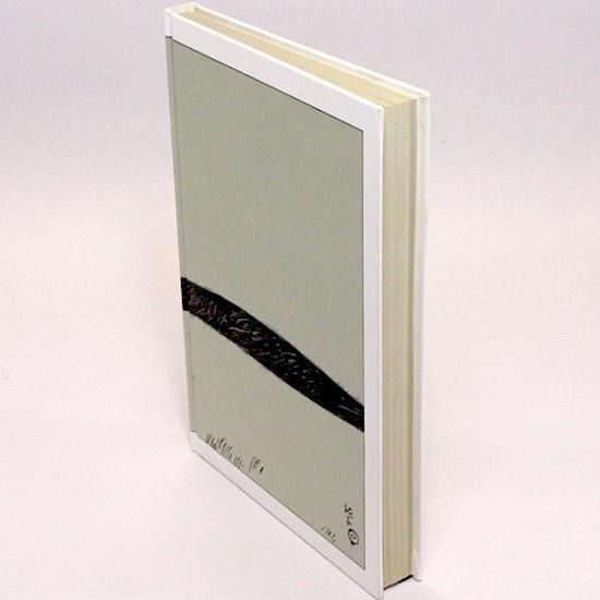 小さな鴨 田山花袋 大正2年出版 fit=scale-down,w=1200