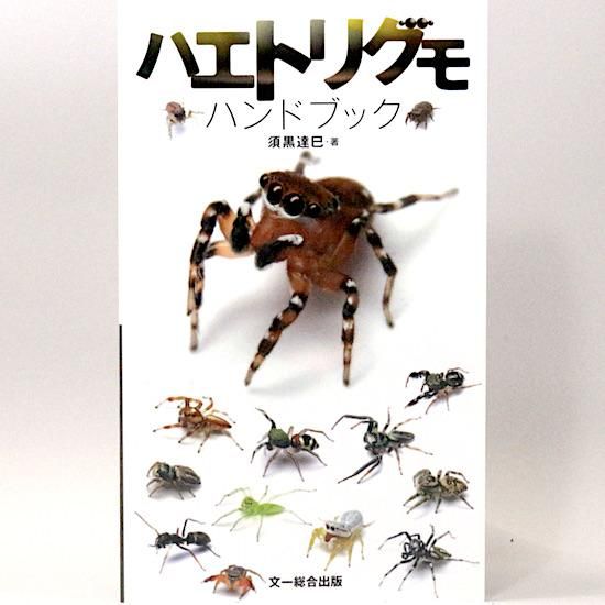 ハエトリグモハンドブック 須黒達巳 Hanamuguri