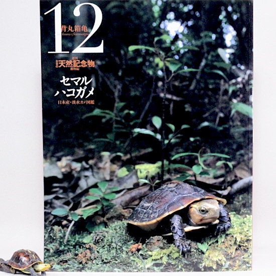 【匿名発送】 小学館 週刊 日本の天然記念物 動物編 全50冊 フィギュア付き
