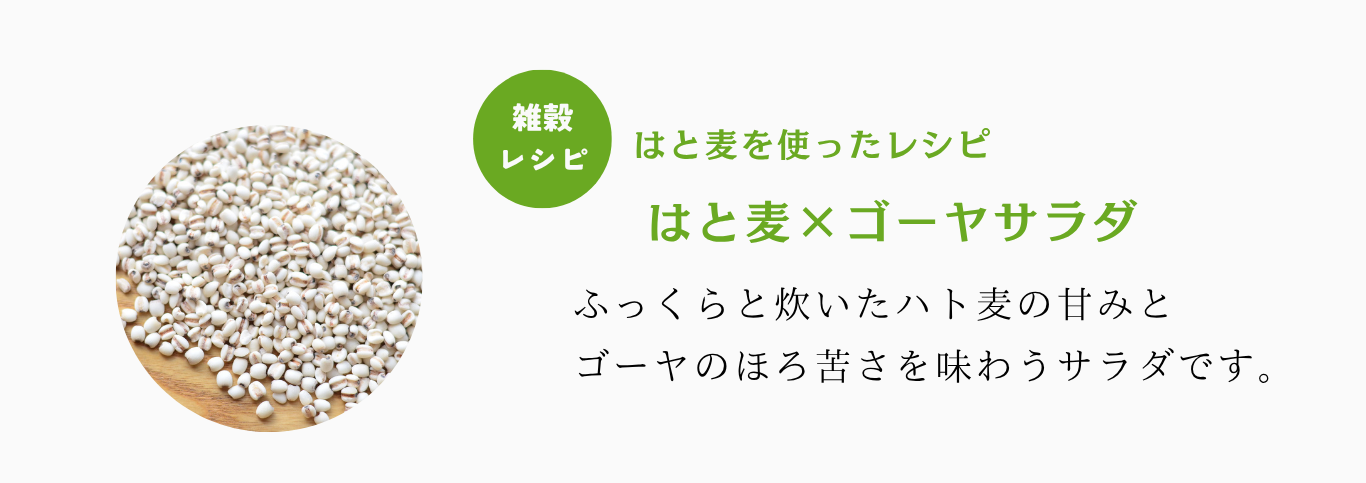 はと麦ゴーヤ説明
