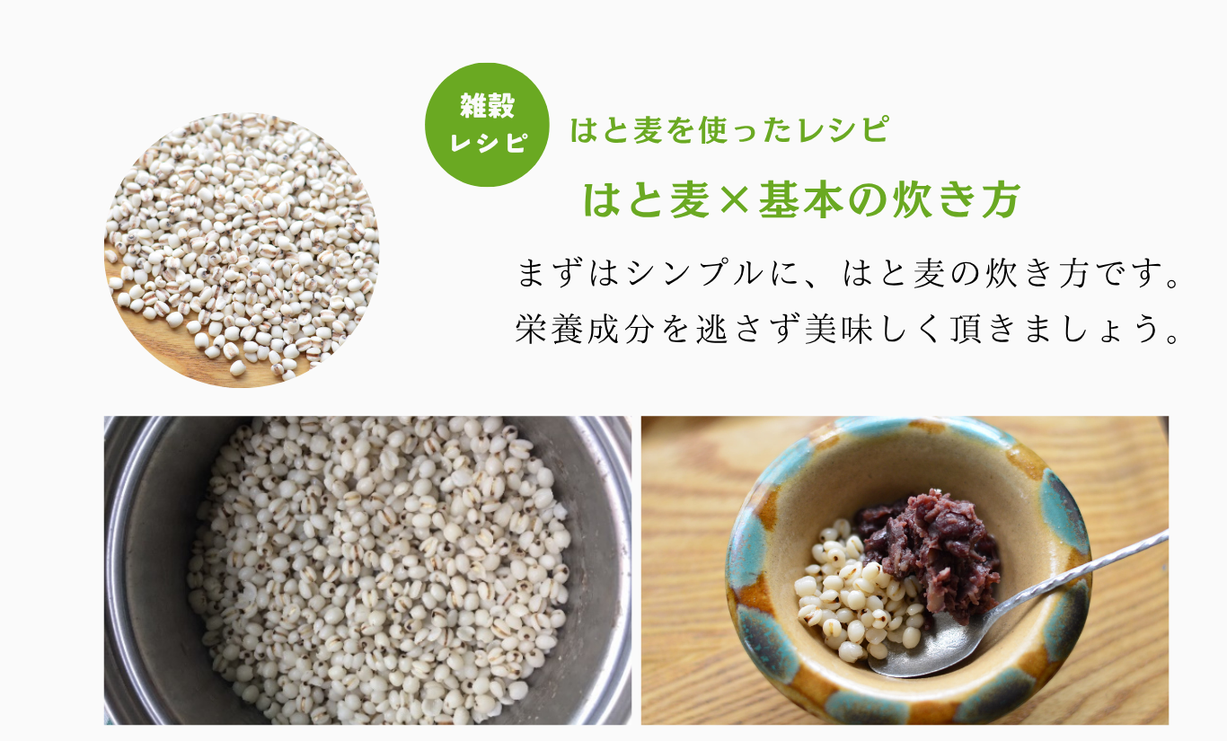 はと麦レシピ