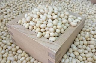 ゆうパケット送料無料】北海道産無農薬・無化学肥料大豆とよ ゆうパケット送料無料】北海道産無農薬・無化学肥料大豆とよ