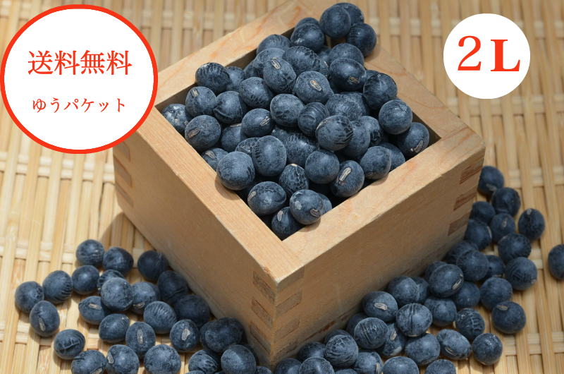 ゆうパケット送料無料】篠山産丹波黒豆2Lの販売なら - 築地の豆 ゆうパケット送料無料】篠山産丹波黒豆2Lの販売なら - 築地の豆
