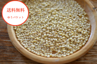 農薬・化学肥料不使用の豆・米・乾物 - 築地の豆屋三栄商会 農薬・化学肥料不使用の豆・米・乾物 - 築地の豆屋三栄商会