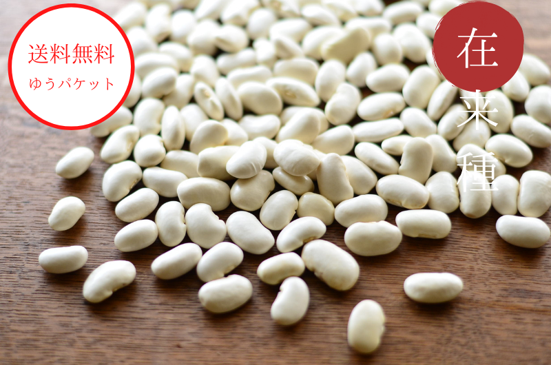 白花豆 5kg 北海道令和4年産 無農薬 発送が8/20以降になります