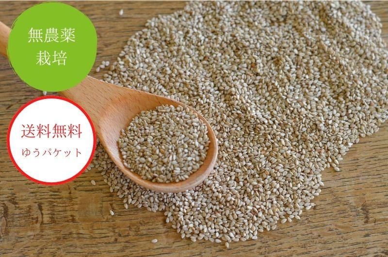 白胡麻 洗胡麻 むき白ごま 1kg : 北村商店 | スモールビジネスのための問屋