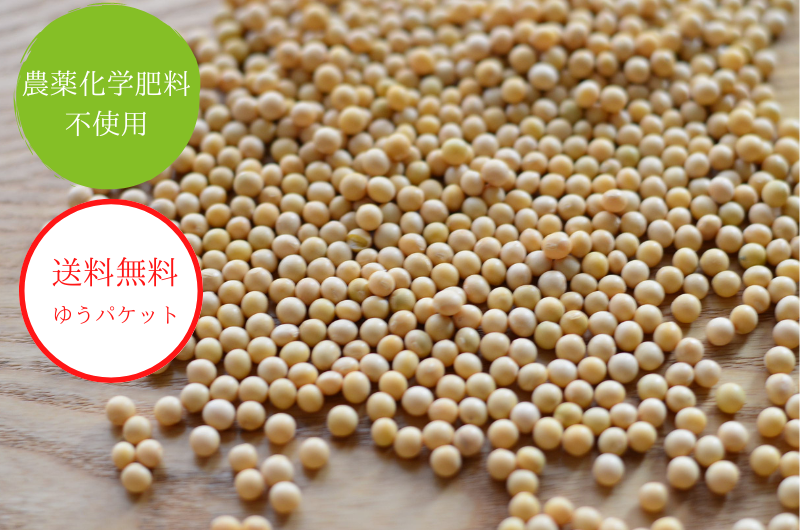北海道産間作大豆|(極小大豆)農薬化学肥料不使用|送料無料販売 北海道産間作大豆|(極小大豆)農薬化学肥料不使用|送料無料販売