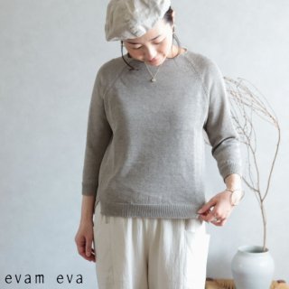 evam eva( )2019ss ɥ饤åȥ 饰 ץ륪С ⥫ / dry cotton raglan pullover E191K119