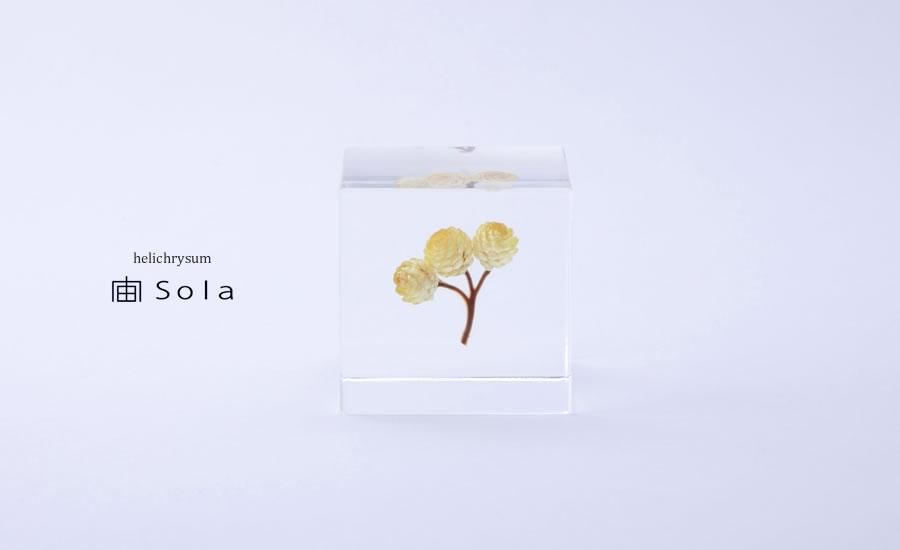 宙 Sola Sola Cube イモーテル Lizm 宙 Sola Sola Cube イモーテル Lizm