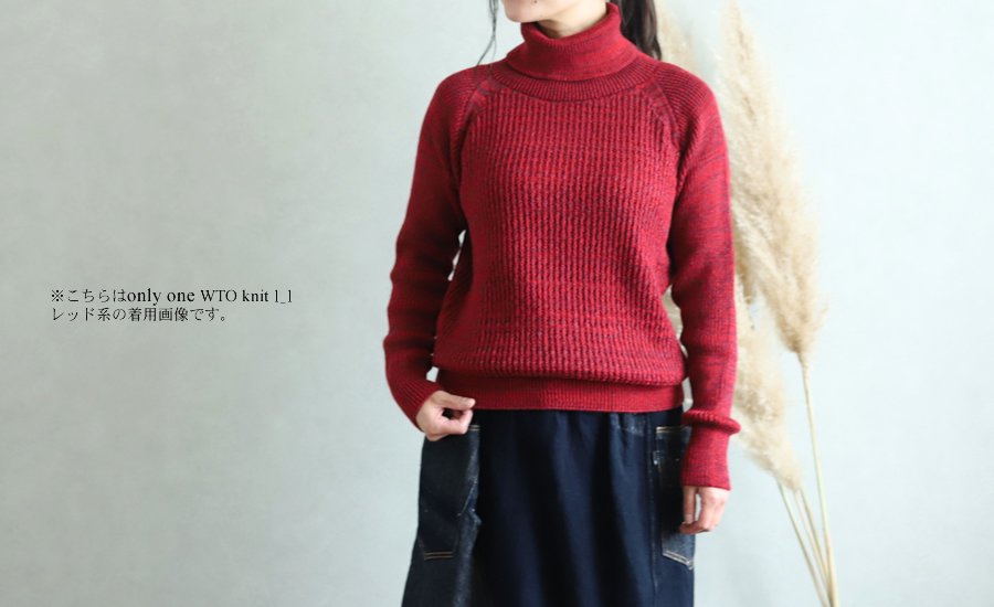 tamaki niime(タマキ ニイメ) 玉木新雌 only one WTO knit すう サイズ 
