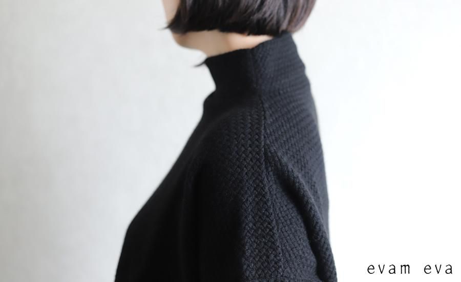 evam eva(エヴァム エヴァ) 【2020aw新作】ウールアンゴラ ハイネック