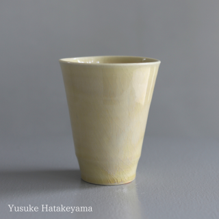 ȫͺ γإåL / YUSUKE HATAKEYAMA