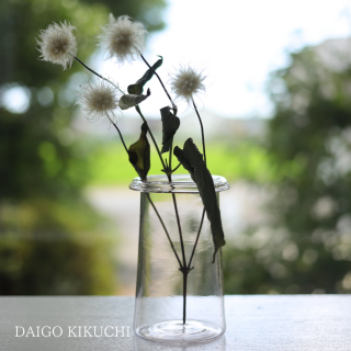 ڴָ 731()ޤǡ  ִ flip vase / DAIGO KIKUCHI