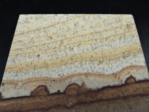 2025.10.11天草木木石　新潟阿賀野産ピクチャーストーン 自然の風景画】ピクチャーストーン 天草木目石 イーゼル付き