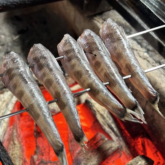 メヒカリ丸干し ひもの万宝オンラインショップ