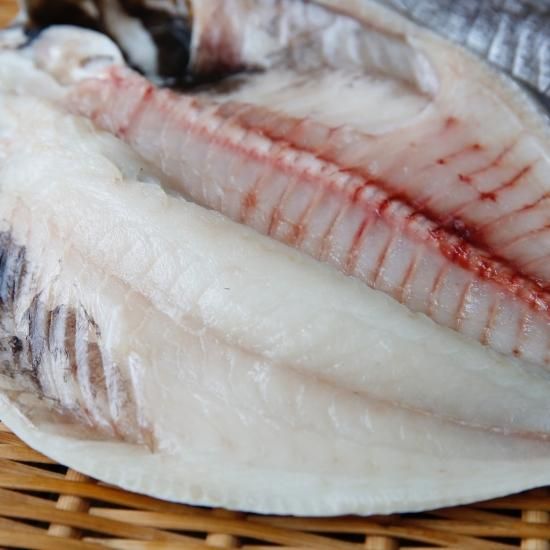 江戸前えぼだいの一夜干し 3 630円 ひもの万宝オンラインショップ 江戸前えぼだいの一夜干し 3 630円 ひもの万宝オンラインショップ