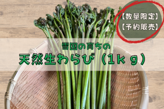 ͽۡڿ̸1kg
