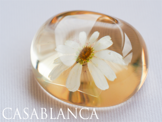 ֤Ȥ֤ӡ Champagne Topaz   ѥ ȥѡ  