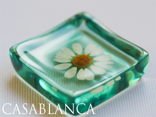֤Ȥ֤å Emerald green  ɥ꡼ 