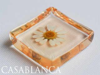 ֤Ȥ֤å Champagne Topaz   ѥ ȥѡ  