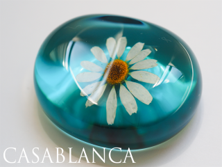 ֤Ȥ֤ӡ Turquoise  