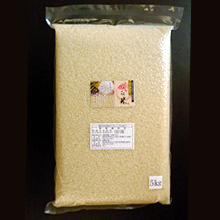 特別栽培米みねはるか 白米10キロ (真空パック) 
