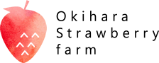澳原いちご農園｜栃木県矢板市のいちご農園通販サイトです。