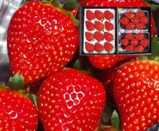 ���ڤΤ�����3�￩����٥��åȡ����ե���