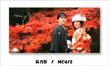 ¥ե졼ࡡĹ1MC612)