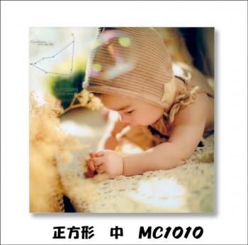 ¥ե졼ࡡ (MC1010)