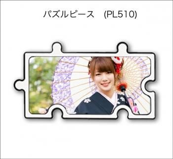 ѥԡ(PL510)