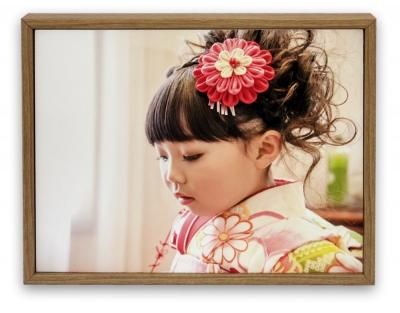 ƥեȥե졼(եᥤɥ)ART810  6ڤꥵ