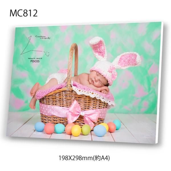 <img class='new_mark_img1' src='https://img.shop-pro.jp/img/new/icons13.gif' style='border:none;display:inline;margin:0px;padding:0px;width:auto;' />¥ե졼ࡡĹ3MC812) 19.7X29.8cm