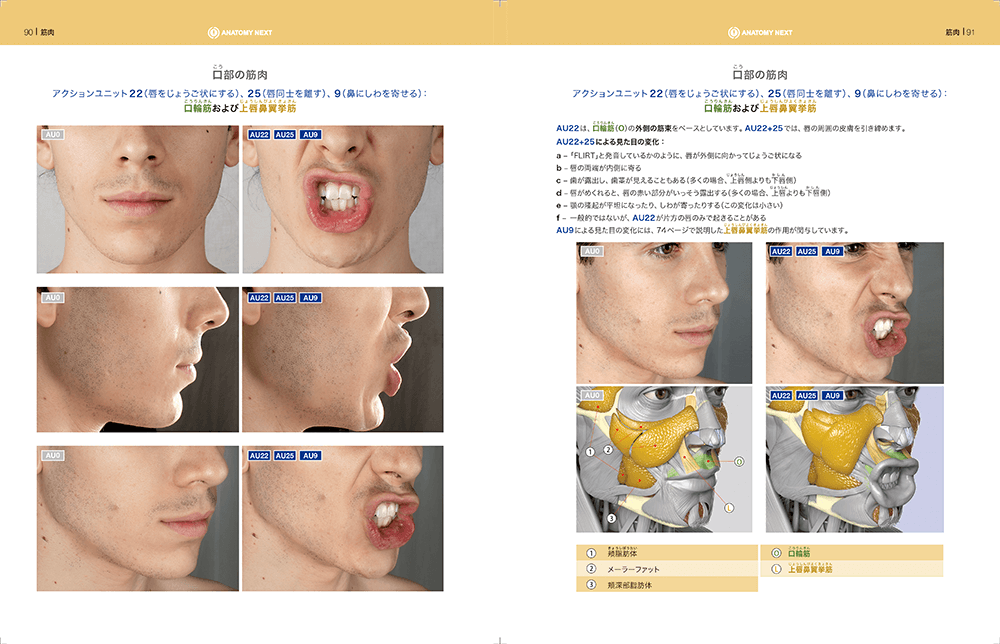 スカルプターのための美術解剖学 2 表情編 - ボーンデジタルオンライン
