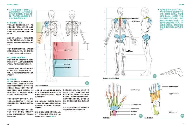 3Dアーティストのための人体解剖学 - ボーンデジタルオンライン