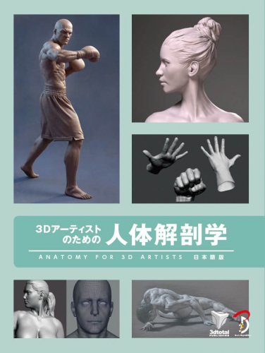 3Dアーティストのための人体解剖学