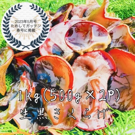 高知県産仁淀川きくらげ ショッピングサイト 高知県産仁淀川きくらげ ショッピングサイト