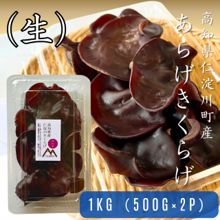 ˹餲餲1kg500gߣѥå<img class='new_mark_img2' src='https://img.shop-pro.jp/img/new/icons15.gif' style='border:none;display:inline;margin:0px;padding:0px;width:auto;' />