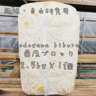 6/5ޤǤθۤ餲ݥ֥å1ġʶݾˢΧ1,000